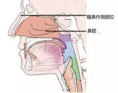 /Public/ueditor/php/upload/image/20170502/1493706223994126.jpg