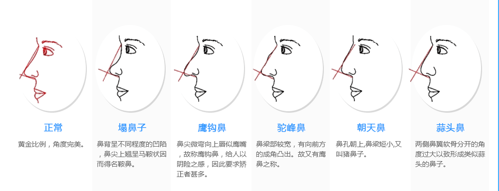 /Public/ueditor/php/upload/image/20180911/1536644443483984.png