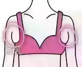 /Public/ueditor/php/upload/image/20181204/1543909811620336.jpg