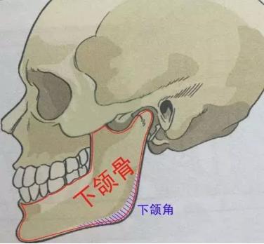 /Public/ueditor/php/upload/image/20181205/1543995081439848.jpg