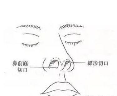 /Public/ueditor/php/upload/image/20181216/1544944569382393.png