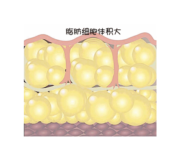 /Public/ueditor/php/upload/image/20190123/1548229368625587.png