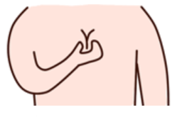 /Public/ueditor/php/upload/image/20190321/1553156509988930.jpg