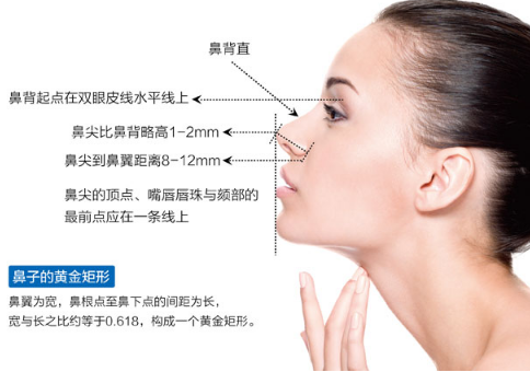 /Public/ueditor/php/upload/image/20190412/1555048675196697.png