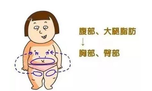 /Public/ueditor/php/upload/image/20190416/1555402945624638.jpg