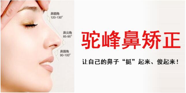 /Public/ueditor/php/upload/image/20190416/1555406703378896.jpg