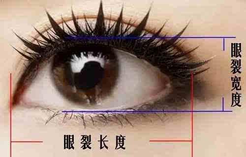 /Public/ueditor/php/upload/image/20190505/1557044190493513.jpg