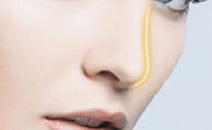 /Public/ueditor/php/upload/image/20190514/1557820759413234.jpg