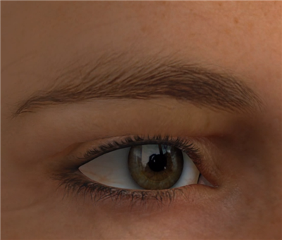 /Public/ueditor/php/upload/image/20191122/1574408113713211.png