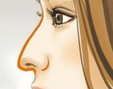 /Public/ueditor/php/upload/image/20191122/1574409724226795.png