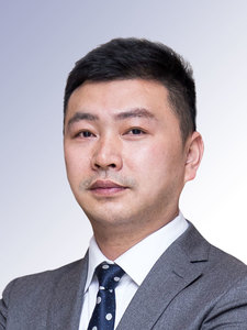 龙维