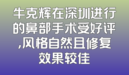 牛克辉在深圳进行的鼻部手术受好评，风格自然且修复效果较佳
