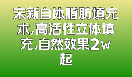 宋新自体脂肪填充术，高活性立体填充，自然效果2w起