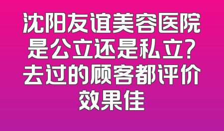 沈阳友谊美容医院是公立还是私立？去过的顾客都评价效果佳