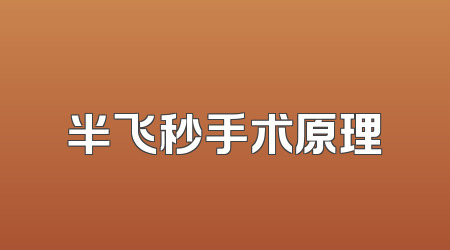 半飞秒手术原理