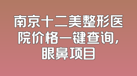 南京十二美整形医院价格一键查询，眼鼻项目