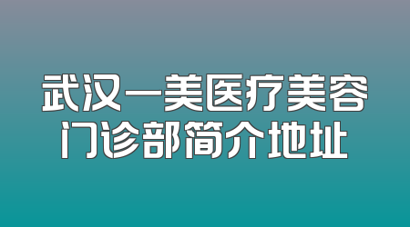 武汉一美医疗美容门诊部简介地址