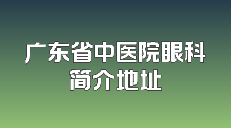 广东省中医院眼科简介地址