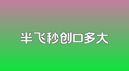 半飞秒创口多大