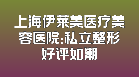 上海伊莱美医疗美容医院：私立整形好评如潮