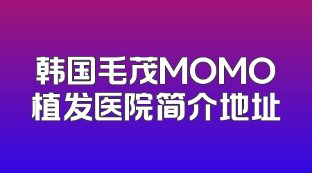 韩国毛茂MOMO植发医院简介地址