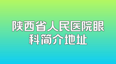 陕西省人民医院眼科简介地址