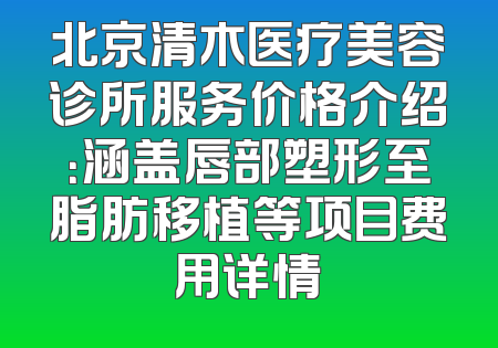 北京清木医疗美容诊所服务价格介绍：涵盖唇部塑形至脂肪移植等项目费用详情