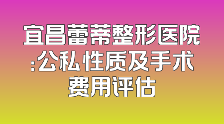 宜昌蕾蒂整形医院：公私性质及手术费用评估