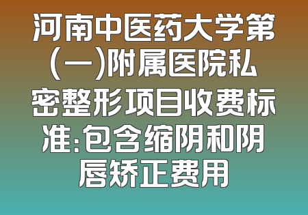 河南中医药大学第(一)附属医院私密整形项目收费标准：包含缩阴和阴唇矫正费用