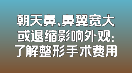 朝天鼻、鼻翼宽大或退缩影响外观：了解整形手术费用