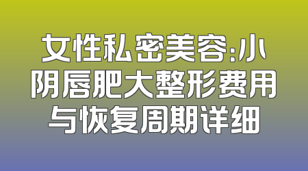 女性私密美容：小阴唇肥大整形费用与恢复周期详细
