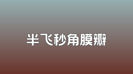 半飞秒角膜瓣