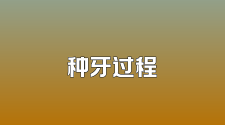 种牙过程