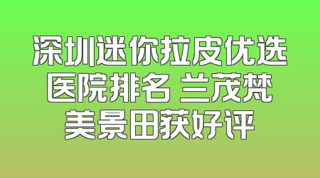 深圳迷你拉皮优选医院排名 兰茂梵美景田获好评