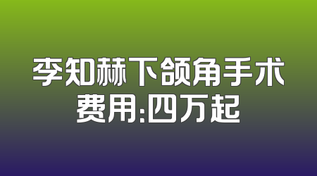 李知赫下颌角手术费用：四万起