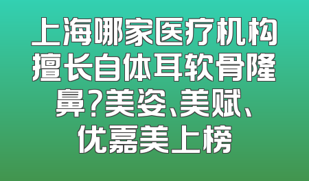 上海哪家医疗机构擅长自体耳软骨隆鼻？美姿、美赋、优嘉美上榜
