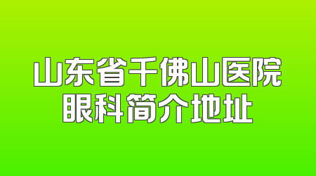 山东省千佛山医院眼科简介地址
