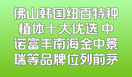 佛山韩国纽百特种植体十大优选 中诺富丰南海金中景瑞等品牌位列前茅