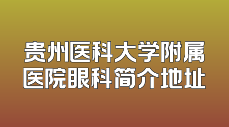 贵州医科大学附属医院眼科简介地址