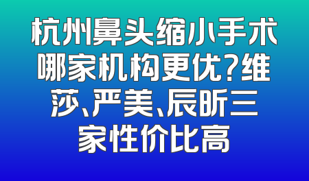 杭州鼻头缩小手术哪家机构更优？维莎、严美、辰昕三家性价比高