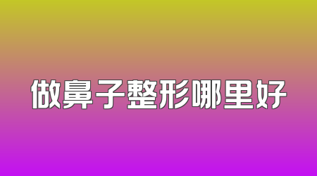 做鼻子整形哪里好