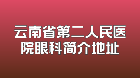 云南省第二人民医院眼科简介地址
