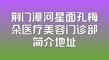 荆门漳河星面孔梅朵医疗美容门诊部简介地址