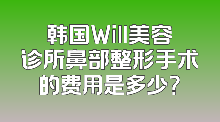 韩国Will美容诊所鼻部整形手术的费用是多少？