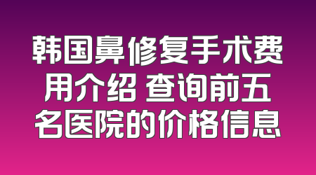 韩国鼻修复手术费用介绍 查询前五名医院的价格信息