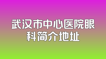 武汉市中心医院眼科简介地址