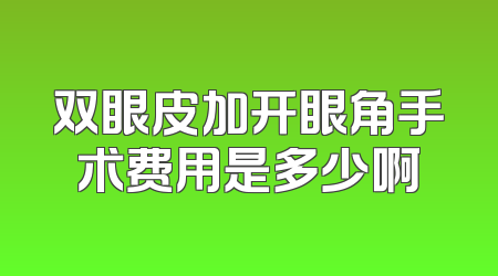 双眼皮加开眼角手术费用是多少啊