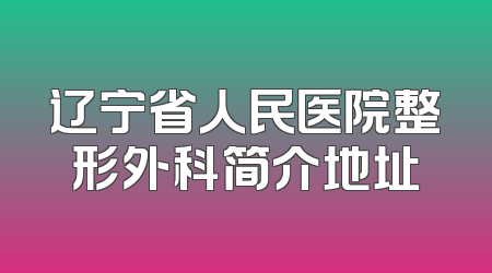 辽宁省人民医院整形外科简介地址