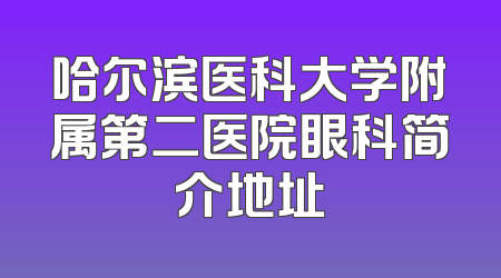 哈尔滨医科大学附属第二医院眼科简介地址