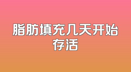 脂肪填充几天开始存活